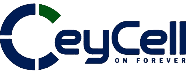 CeyCell — On Forever
